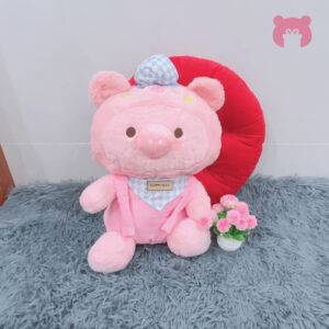 B2BGB0015-Heo-hong-mac-yem-doi-mu-noi-cute-50cm-25cm-3